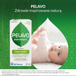 Pelavo Immunity, picături pentru bebeluși și copii cu vârsta peste 6 luni, 20 ml