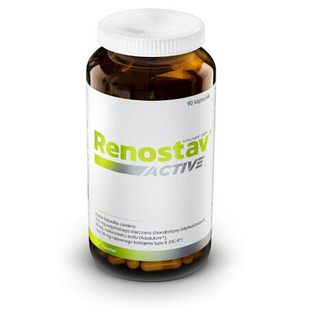 Hauster Renostav Active, 90 capsule