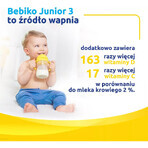 Bebiko Junior 3 Nutriflor Expert, milk-based nutritional formula, over 1 year, 600 g