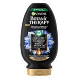 Garnier Botanic Therapy, balsam de echilibrare pentru păr uscat și scalp gras, cărbune activ, 200 ml