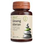 Ginseng siberiano, 30 cápsulas vegetales, Alevia