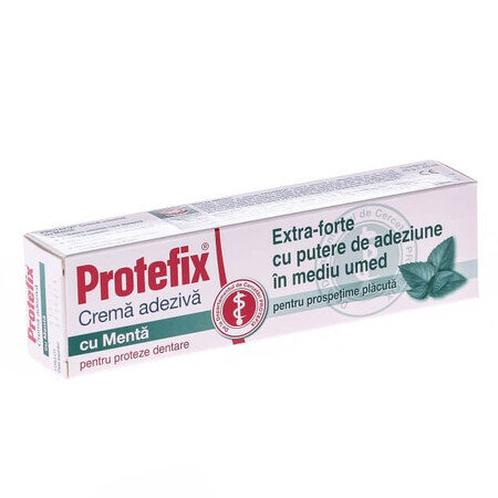 Protefix Extra Forte cremă adezivă cu Mentă, 40 ml, Queisser Pharma