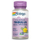 Tribulus Fruit Extract, 450mg, 60 capsule vegetale, Solaray