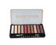 Paleta de farduri Ushas, Eyeshadow 10 Colors