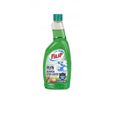 Filip, Detergent pentru geamuri de schimb verde, 750 ml