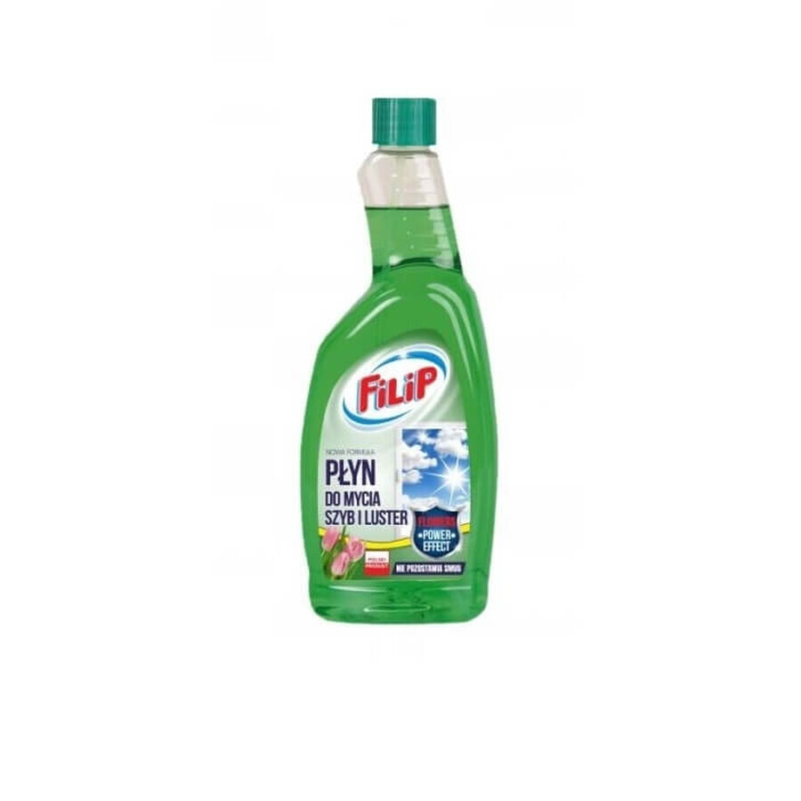 Filip, Detergent pentru geamuri de schimb verde, 750 ml