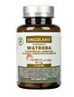 Singularis Superior Wtroba Phytosomal Complex 30 capsule