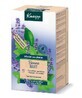 Kneipp ceai calmant de plante de culcare cu melis, 20 pungi