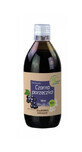 Fruit of the Gardens, Suc, Coacăze negre, 500 ml