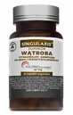 Singularis, Wtroba Phytosomal complex 80mg, 60 capsule