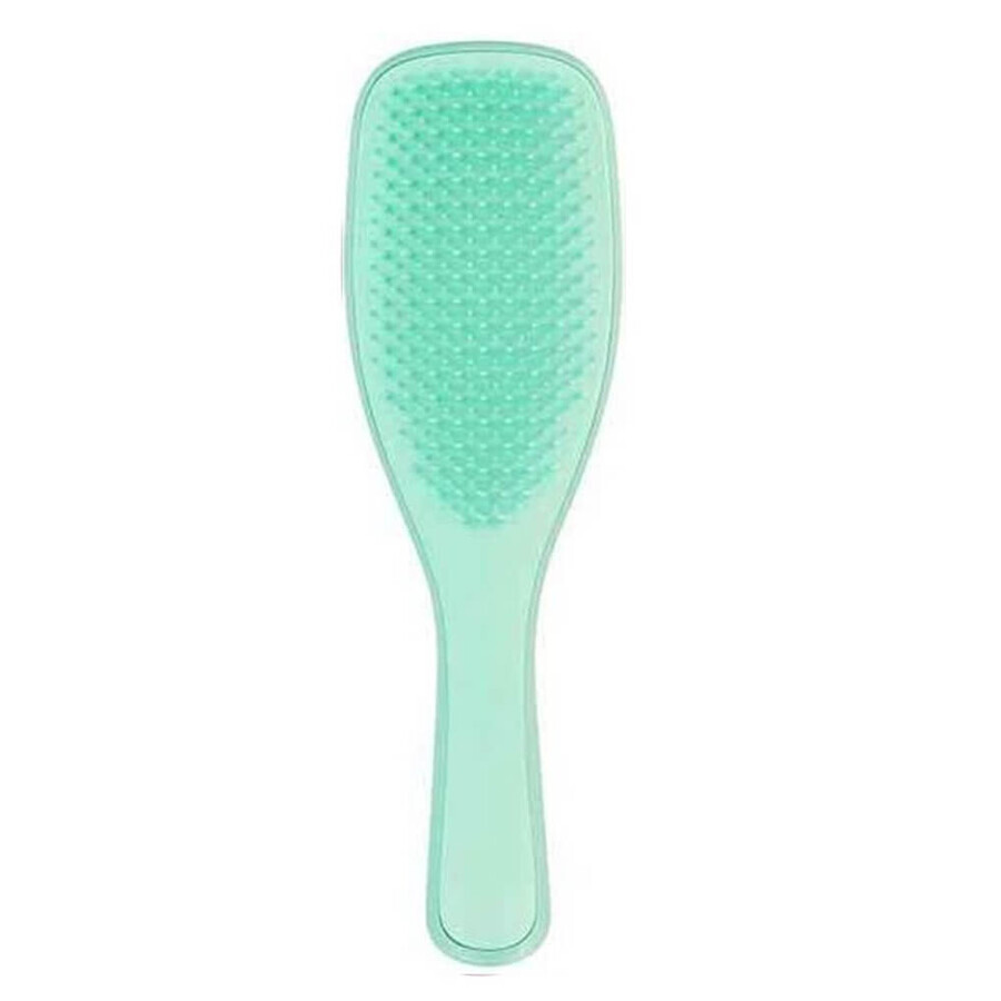 Tangle Teezer The Wet The Wet Detangling Fine amp ; Fragile Hair Brush Mint