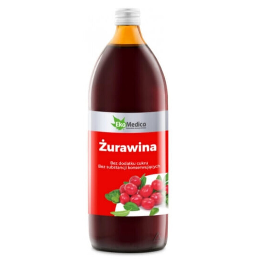 Zumo de arándanos, 500 ml