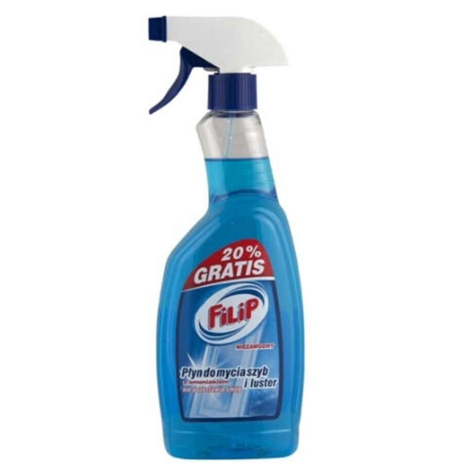 Filip, Detergent pentru sticlă cu duză de pulverizare, 750 ml