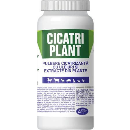 Cicatri Poudre cicatrisante végétale, 100 g, Pasteur