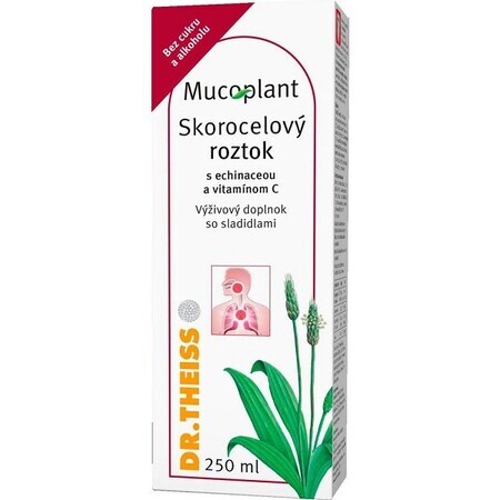 Dr Theiss Mucoplant Kaneelsiroop met echinacea en vitamine C 320 g