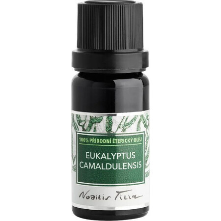 Ulei esențial de Eucalyptus camaldulensis 10 ml