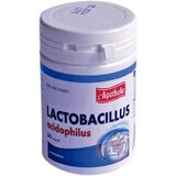 Apotheke Lactobacillus acidophilus 60 capsule