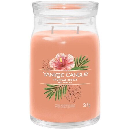 Yankee Candle lumânare parfumată Tropical Breeze 567 g