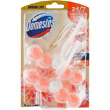 Domestos Aroma Lux Dahlienblüte & Drachenfrucht WC-Block 2 x 55 g