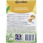 Pungi parfumate Coccolino fructul pasiunii 3 buc