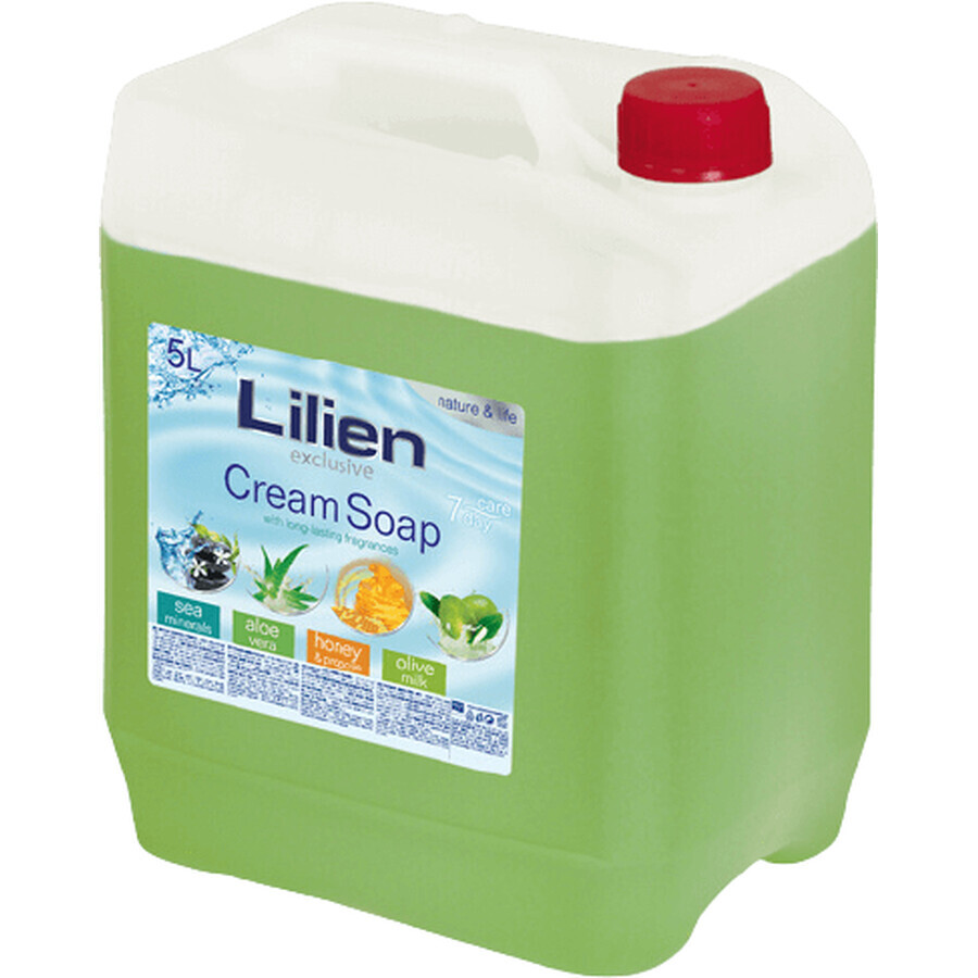 Lilien Savon liquide crémeux à l'Aloe Vera 5 l