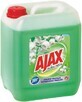 Detergent universal Ajax Floral Fiesta, Flori de primăvară 5 l