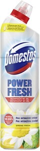 Gel de toaletă Domestos Power Fresh Spring 700 ml