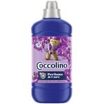 Balsam de rufe Coccolino Orhidee violet 1.27 l