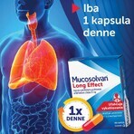 Mucosolvan ® efect lung 20 capsule