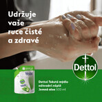 Dettol Reîncărcare săpun lichid Aloe Vera și vitamina E 500 ml