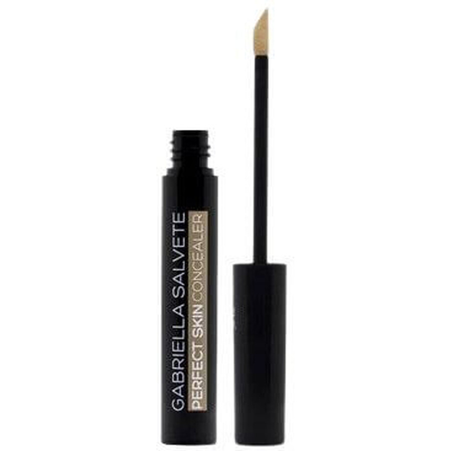 Gabriella Salvete Perfect Skin Concealer 01, 6.2 ml