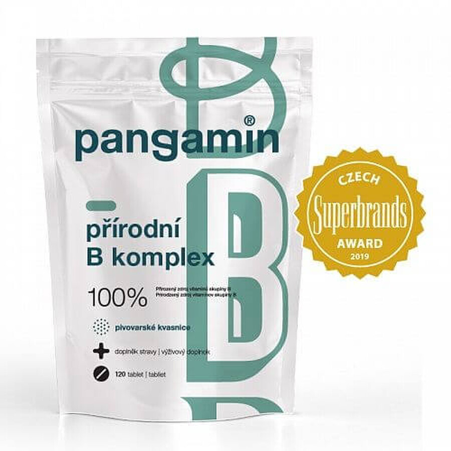 Pangamine Complejo B natural 120 comprimidos