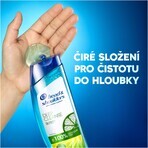 Head & Shoulders Curățare profundă Controlul uleiului 300 ml