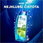 Head & Shoulders Curățare profundă Controlul uleiului 300 ml