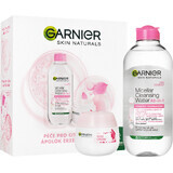 Garnier Skin Naturals Rose Christmas Package 2023 - cremă + apă micelară