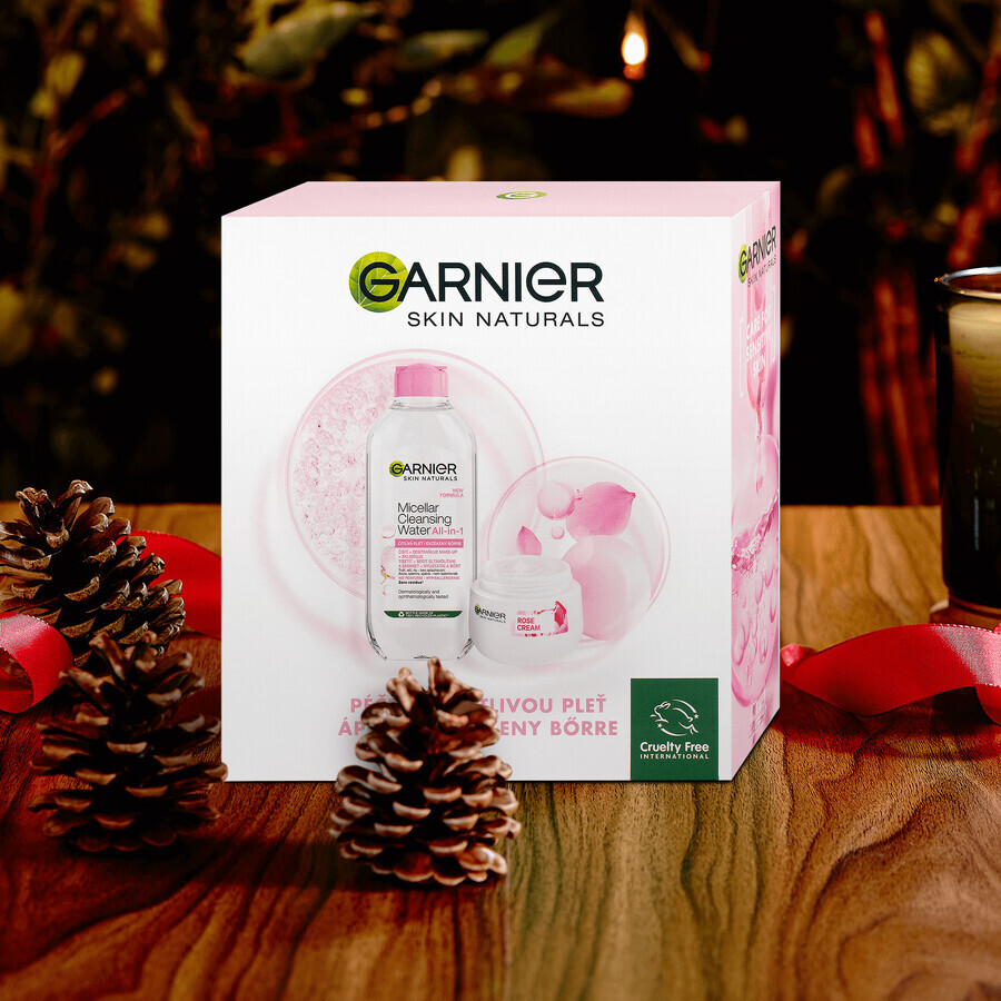 Garnier Skin Naturals Rose Christmas Package 2023 - cremă + apă micelară