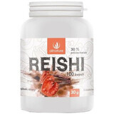 Allnature Reishi 100 capsule