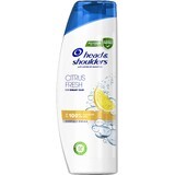 Șampon Head & Shoulders Citrus pentru păr gras 400 ml