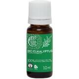 Tierra Verde Ulei esențial BIO Eucalipt 10 ml