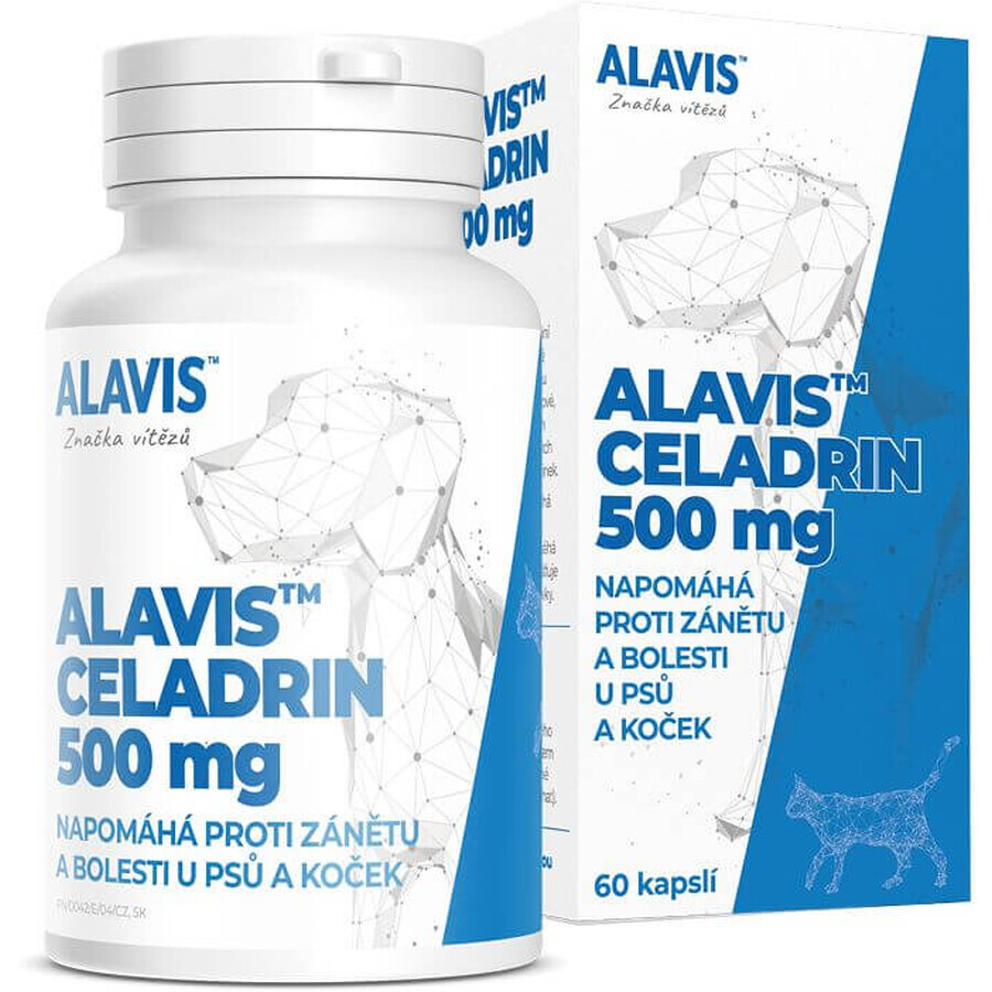 Alavis CELADRIN pentru câini și pisici 60 capsule