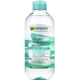 Garnier Relleno Hialurónico Aloe Skin Naturals Agua Micelar Hialurónica Aloe 400 ml