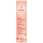 Balsam pentru mameloane Weleda 25 g