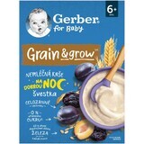 Gerber plum porridge d'avoine sans lait avec blé et avoine 200 g