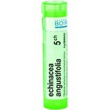 Boiron Echinacea Angustifolia CH5 korrel 4 g