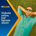 Niquitin Freshmint 4mg chewing-gum médicinal 100 pièces