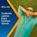 Niquitin mini 4mg pastiluțe 3 x 20 pastiluțe