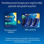 Niquitin mini 4mg pastiluțe 3 x 20 pastiluțe