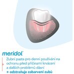 Pastă de dinți Meridol Gum Protection & Gentle White 3 x 75 ml