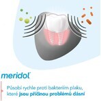 Pastă de dinți Meridol Gum Protection & Gentle White 3 x 75 ml