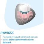 Pastă de dinți Meridol Gum Protection & Gentle White 3 x 75 ml